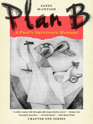 cover image of Plan B